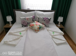 Hotels in Gurahont